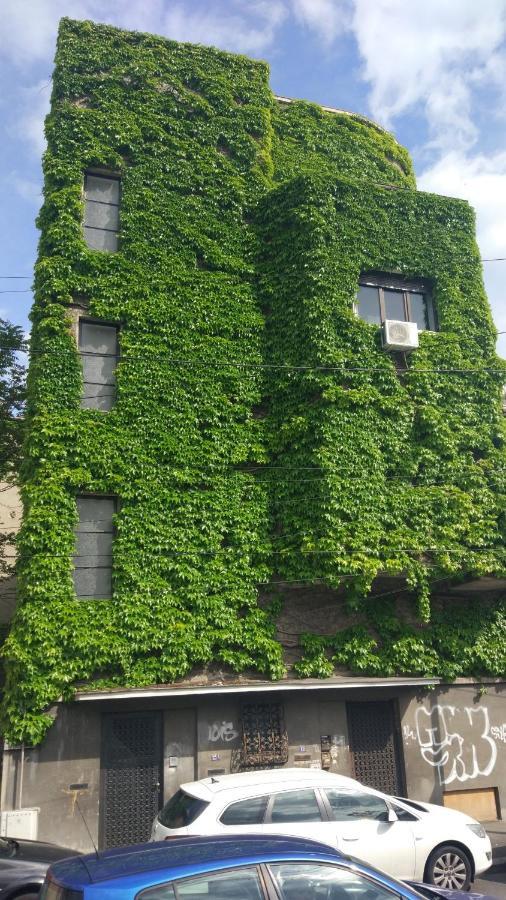 Central Green House Bukurešť Exteriér fotografie